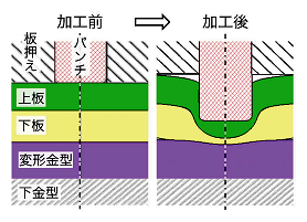 成果写真